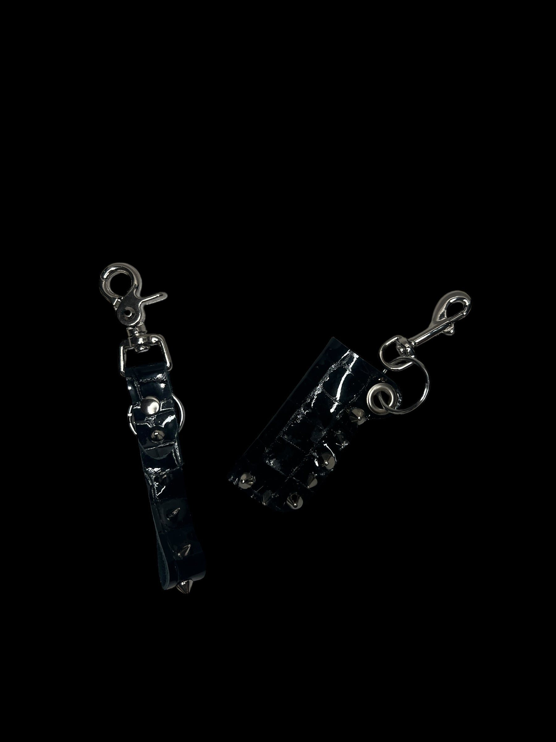 patent spike lighter case keychain set