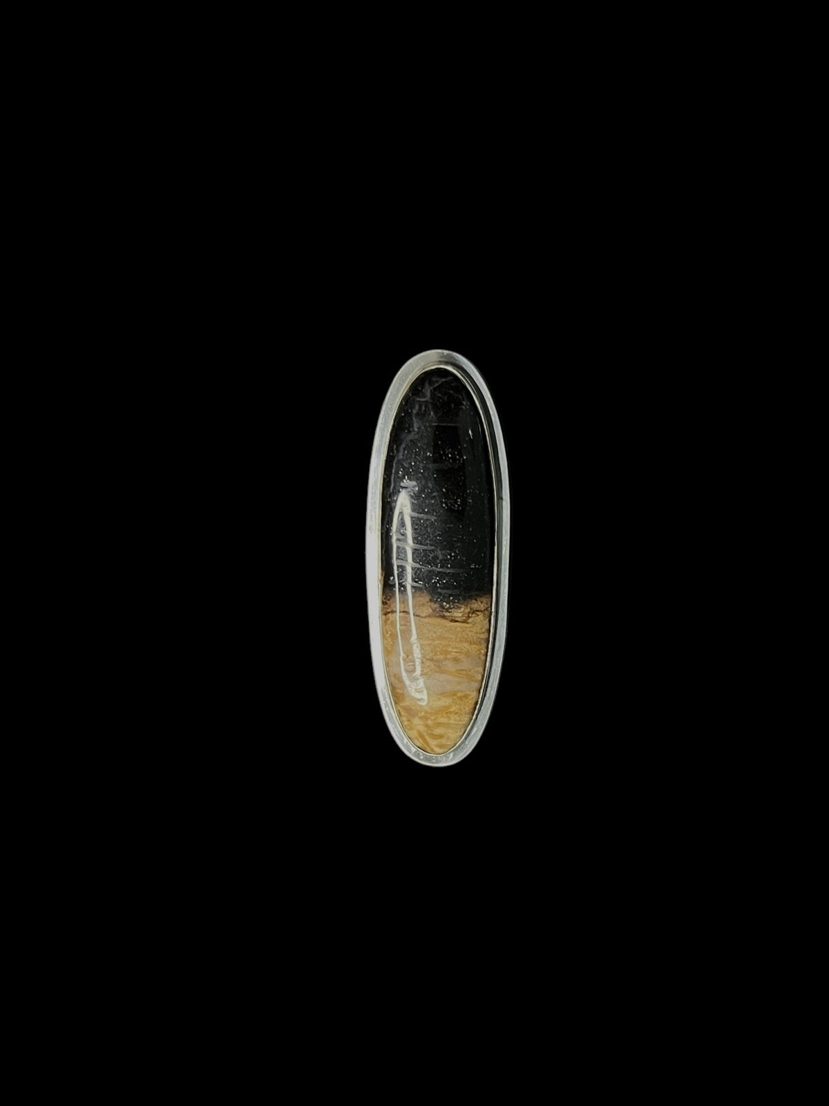 “fossilized” ring #1