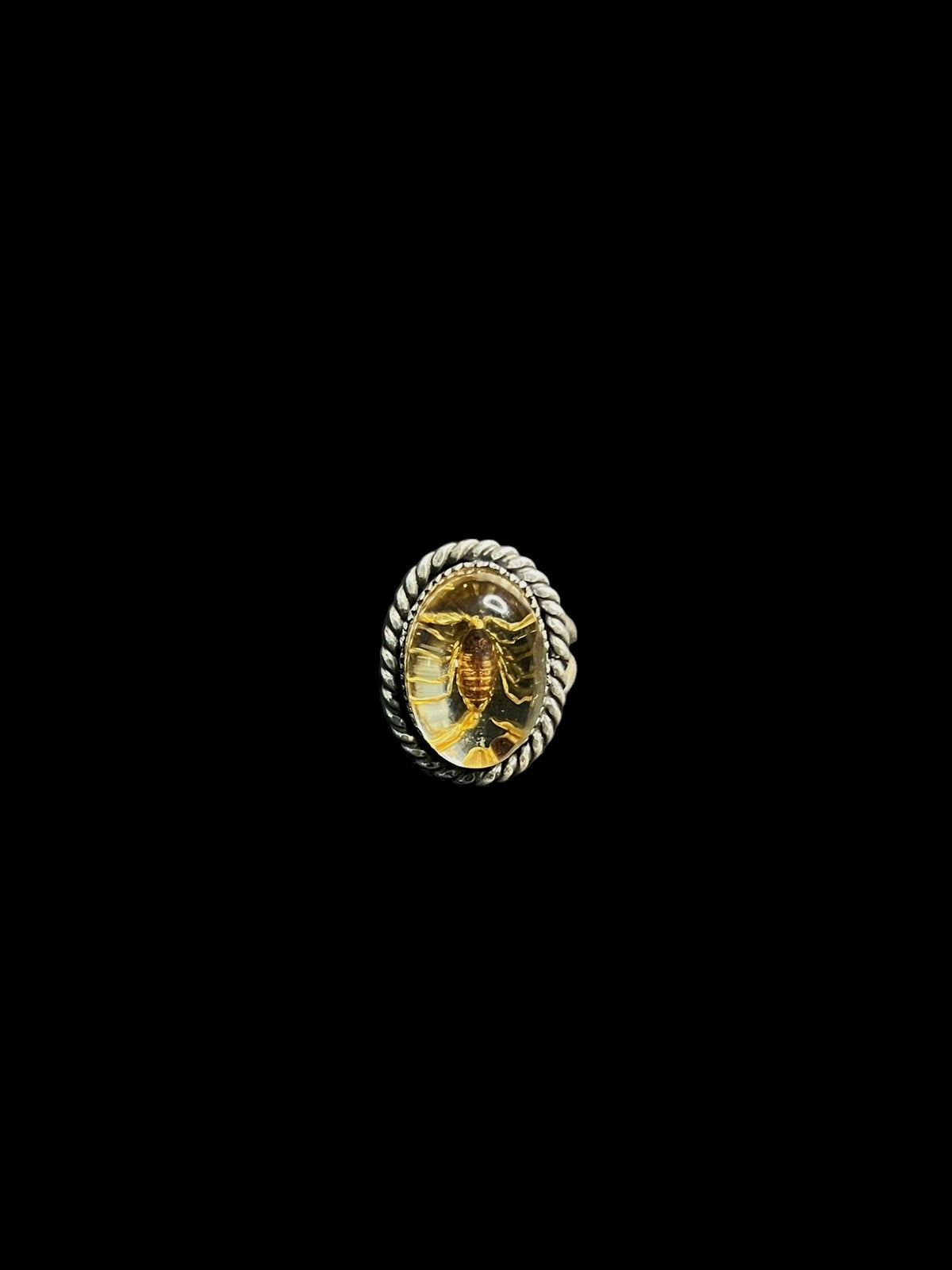 scorpion specimen ring