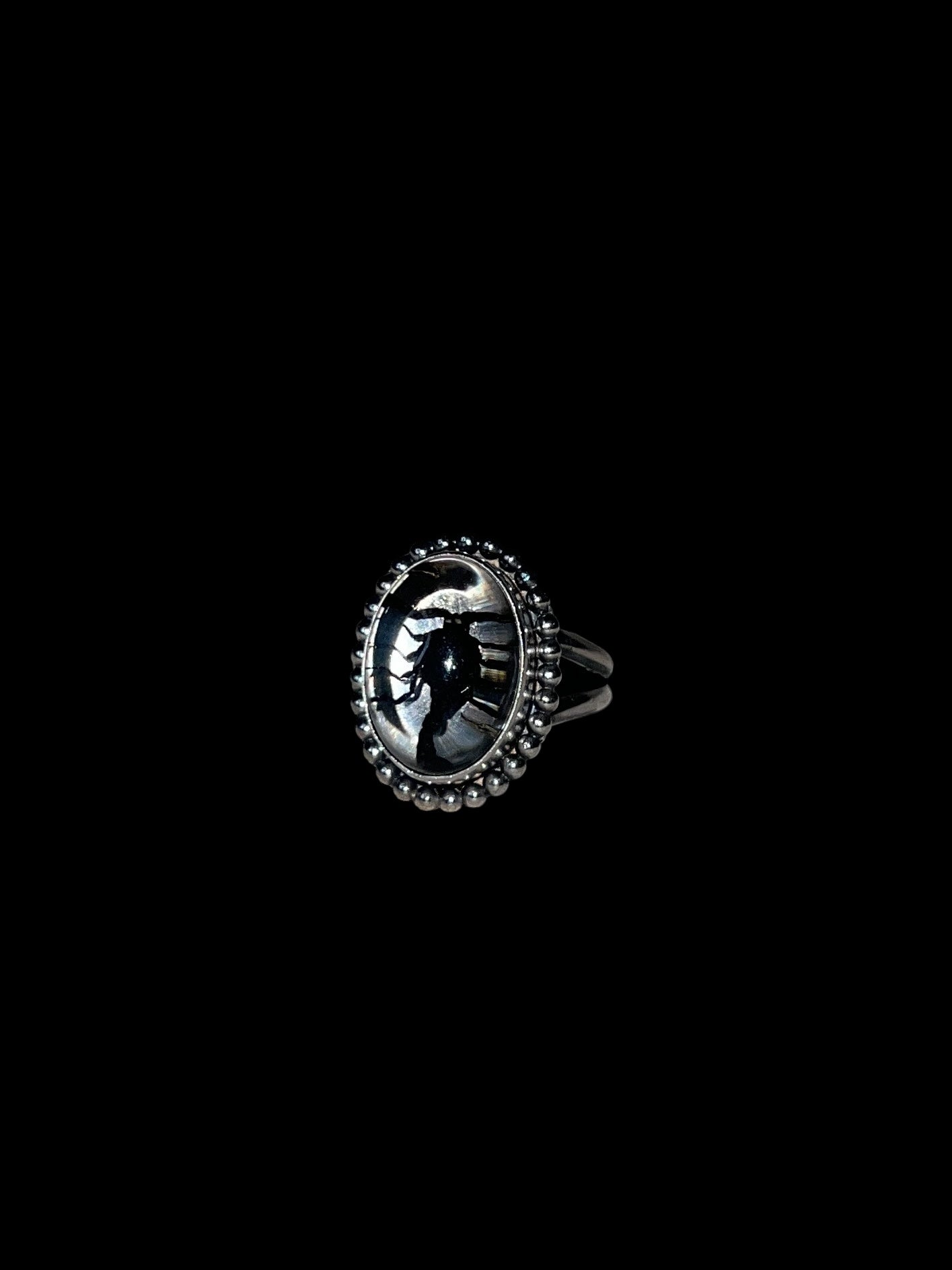 scorpion specimen ring